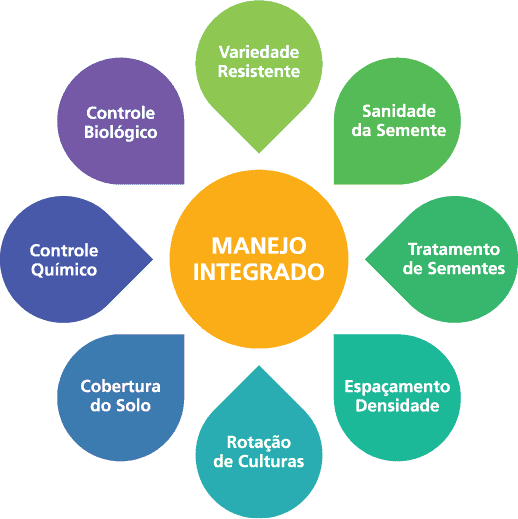 infográfico que ilustra o conceito de ‘Manejo Integrado’ no contexto agrícola. No centro, um círculo laranja de