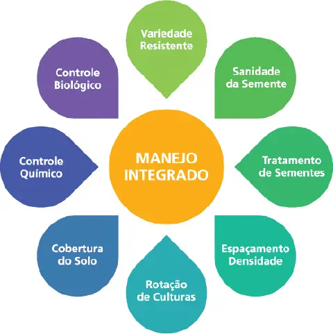 infográfico que ilustra o conceito de 'Manejo Integrado' no contexto agrícola. No centro, um círculo laranja de