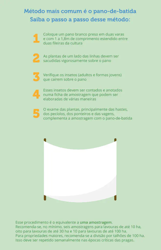 Este é um infográfico educacional que detalha o método do &#39;pano-de-batida&#39;, uma técnica comum para o monitoramento de pragas
