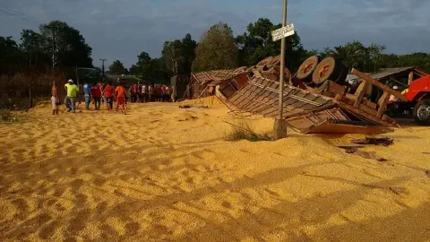 as consequências de um acidente rodoviário em uma área rural. Um caminhão graneleiro está tombado na lateral