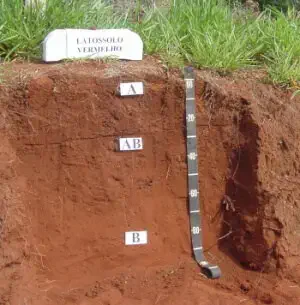 perfil de solo exposto, classificado como 'Latossolo Vermelho', conforme indicado por uma placa branca na s