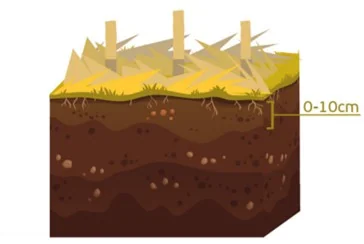 uma ilustração didática de um perfil de solo em corte transversal, destacando suas camadas. Na superfície, há