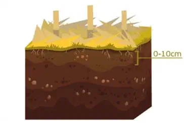 uma ilustração didática de um perfil de solo em corte transversal, destacando suas camadas. Na superfície, há