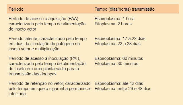 Períodos de Transmissão de Doenças pela Cigarrinha tabela informativa que detalha os diferentes períodos do ciclo de transmissão de doenças por um inseto