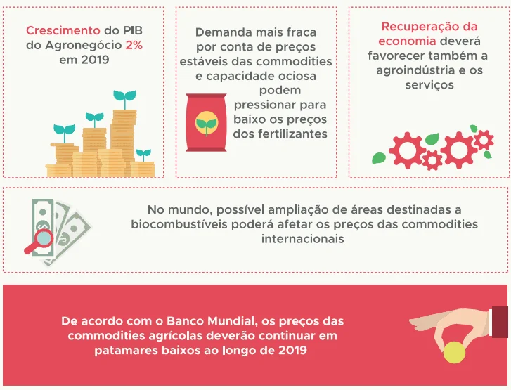 Perspectivas do Agronegócio para 2019: PIB e Commodities infográfico que resume as perspectivas econômicas para o agronegócio brasileiro em 2019. Dividida em seções, el