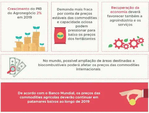 infográfico que resume as perspectivas econômicas para o agronegócio brasileiro em 2019. Dividida em seções, el