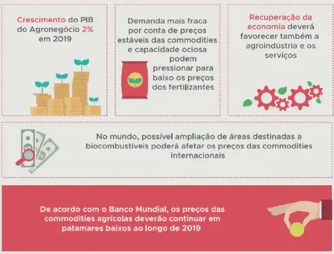 infográfico que resume as perspectivas econômicas para o agronegócio brasileiro em 2019. Dividida em seções, el