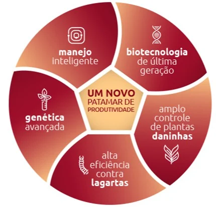 infográfico em formato circular, dividido em cinco seções que convergem para um pentágono central. O tema princ