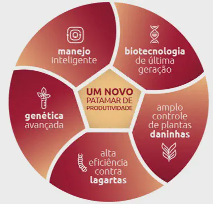 Pilares da Alta Produtividade na Agricultura Moderna infográfico em formato circular, dividido em cinco seções que convergem para um pentágono central. O tema princ