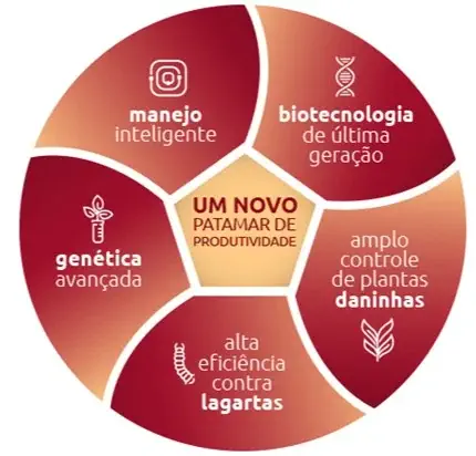 infográfico em formato circular, dividido em cinco seções que convergem para um pentágono central. O tema princ
