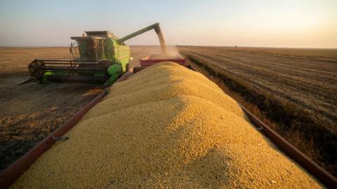 Operação de colheita e transferência de grãos durante o fechamento de safra no Brasil