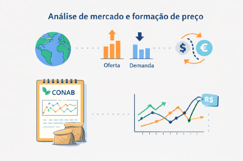 Determinantes da formação de preços agrícolas: interação entre oferta, demanda, câmbio e dados de mercado