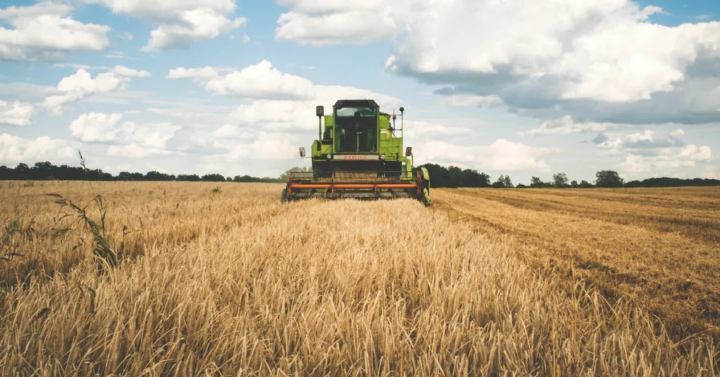 Planejamento Agrícola: A Base Estratégica para o Sucesso no Campo