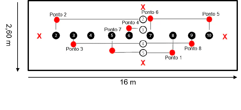 Método de Amostragem em Cruz para Monitoramento da Lavoura Diagrama ilustrando um método de amostragem em grade sobre a carroceria do caminhão com áreas de exclusão marcadas
