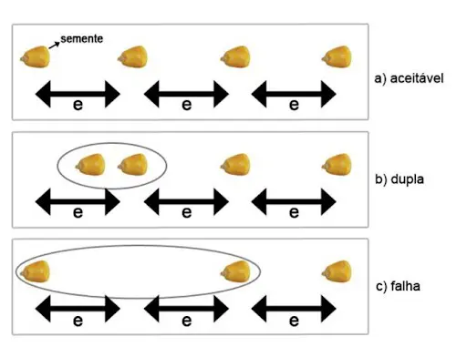 infográfico técnico que ilustra três cenários de distribuição de sementes de milho durante o plantio.