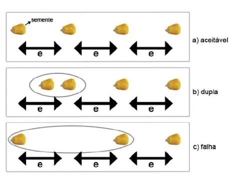 infográfico técnico que ilustra três cenários de distribuição de sementes de milho durante o plantio.