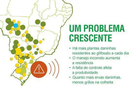 infográfico que alerta sobre o problema crescente da resistência de plantas daninhas ao herbicida glifosato na