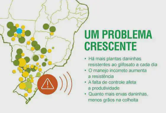 Plantas Daninhas Resistentes: Um Problema na Lavoura infográfico que alerta sobre o problema crescente da resistência de plantas daninhas ao herbicida glifosato na