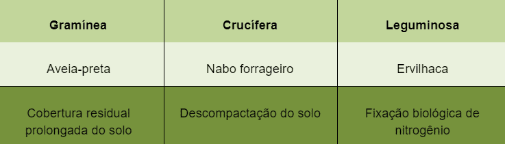 Plantas de Cobertura: Benefícios para o Manejo do Solo uma tabela comparativa com três colunas que categoriza diferentes tipos de plantas de cobertura utilizadas na