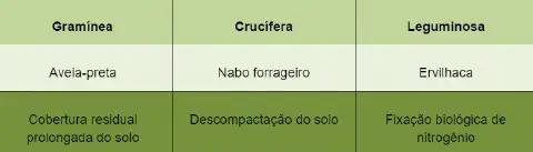 uma tabela comparativa com três colunas que categoriza diferentes tipos de plantas de cobertura utilizadas na