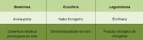 uma tabela comparativa com três colunas que categoriza diferentes tipos de plantas de cobertura utilizadas na