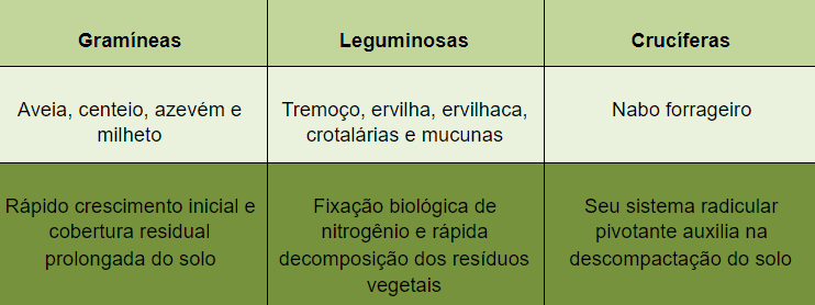 Plantas de Cobertura: Tipos, Exemplos e Benefícios ao Solo tabela comparativa que classifica plantas de cobertura em três famílias principais: Gramíneas, Legumin