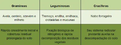 tabela comparativa que classifica plantas de cobertura em três famílias principais: Gramíneas, Legumin