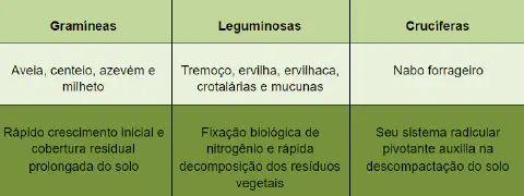 tabela comparativa que classifica plantas de cobertura em três famílias principais: Gramíneas, Legumin