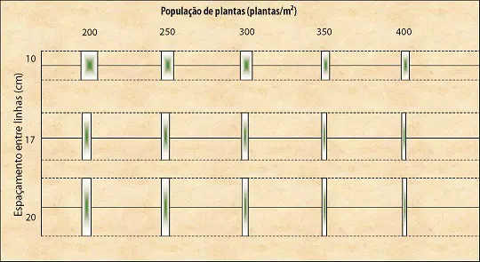 gráfico técnico que ilustra a relação entre a população de plantas por metro quadrado e o espaçamento entre as