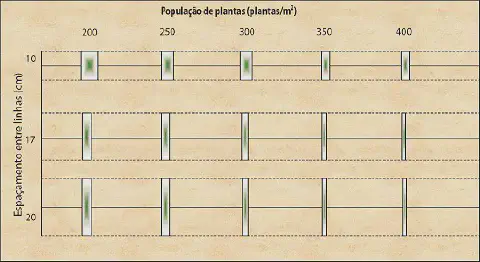 gráfico técnico que ilustra a relação entre a população de plantas por metro quadrado e o espaçamento entre as