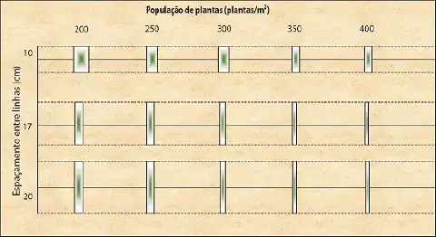 gráfico técnico que ilustra a relação entre a população de plantas por metro quadrado e o espaçamento entre as