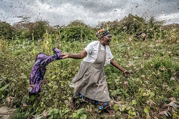 momento dramático e desesperador em uma lavoura. Uma agricultora, com uma expressão de angústia, corre pe