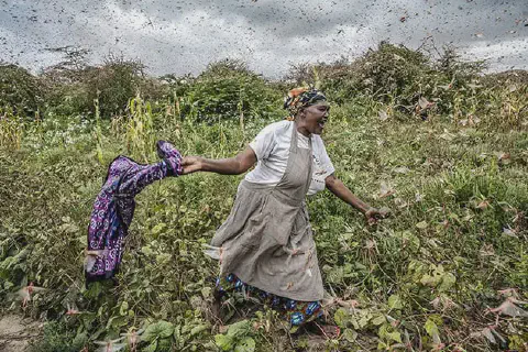 momento dramático e desesperador em uma lavoura. Uma agricultora, com uma expressão de angústia, corre pe
