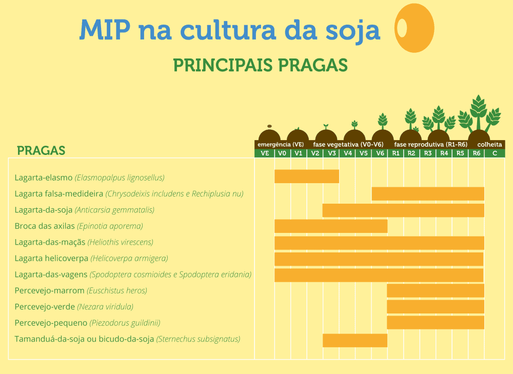 Pragas da Soja: Calendário de Incidência por Fase da Cultura Este infográfico detalha o Manejo Integrado de Pragas (MIP) na cultura da soja, apresentando as principais pragas e os estági