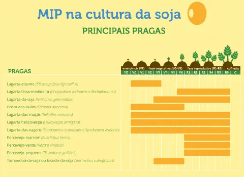 Este infográfico detalha o Manejo Integrado de Pragas (MIP) na cultura da soja, apresentando as principais pragas e os estági