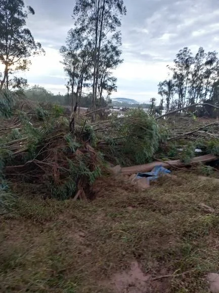 Prejuízos no Campo: Como Proteger sua Fazenda de Desastres cenário de devastação em uma área rural, provavelmente após a passagem de uma forte tempestade ou ciclone
