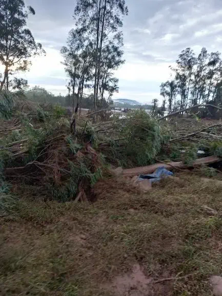 cenário de devastação em uma área rural, provavelmente após a passagem de uma forte tempestade ou ciclone