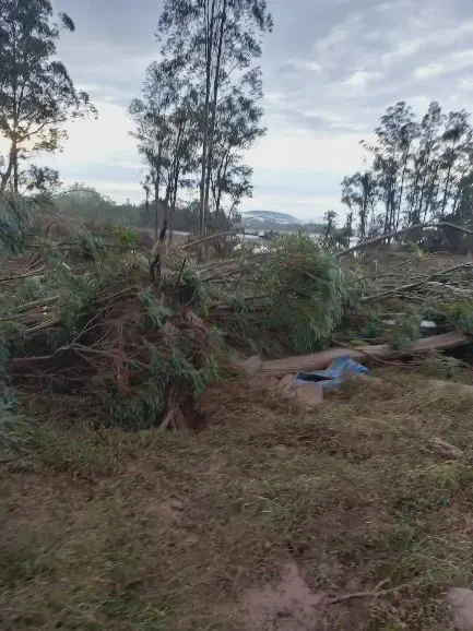cenário de devastação em uma área rural, provavelmente após a passagem de uma forte tempestade ou ciclone