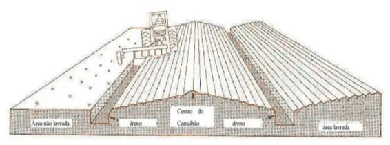 Preparo de Solo com Camalhão: Guia para Melhor Drenagem diagrama técnico que ilustra o método de preparo do solo conhecido como encanteiramento ou formação de camalhõe