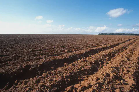 uma vasta extensão de um campo agrícola recém-arado sob um céu azul claro com poucas nuvens. O solo, de tonali
