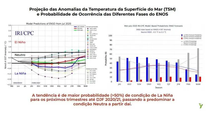 análise técnica e detalhada da previsão climática focada no fenômeno El Niño-Oscilação Sul (ENOS), com