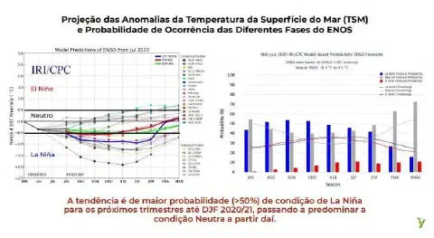 análise técnica e detalhada da previsão climática focada no fenômeno El Niño-Oscilação Sul (ENOS), com