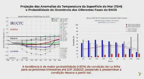 análise técnica e detalhada da previsão climática focada no fenômeno El Niño-Oscilação Sul (ENOS), com