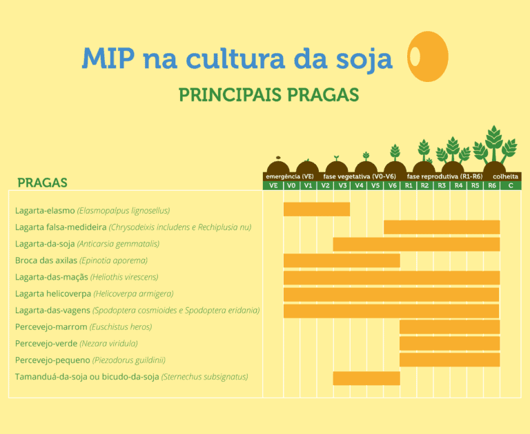 Este é um infográfico informativo sobre o Manejo Integrado de Pragas (MIP) na cultura da soja. Com um fundo amarelo claro e t
