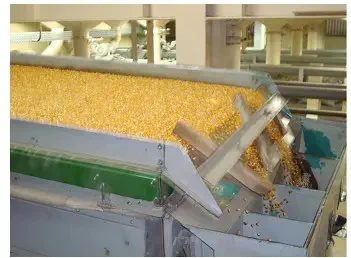 uma etapa do processamento industrial de grãos de milho em uma unidade de armazenamento ou beneficiamento. Em
