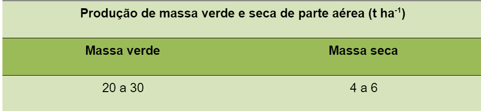 Produção de Massa Verde e Seca por Hectare: Guia Rápido uma tabela informativa com o título ‘Produção de massa verde e seca de parte aérea (t ha⁻¹)’, indicando a prod