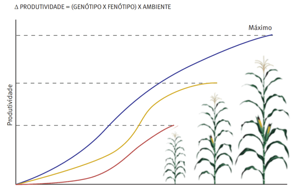 gráfico que ilustra a relação entre diferentes fatores e a produtividade agrícola, especificamente na c