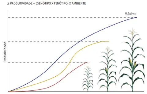 gráfico que ilustra a relação entre diferentes fatores e a produtividade agrícola, especificamente na c
