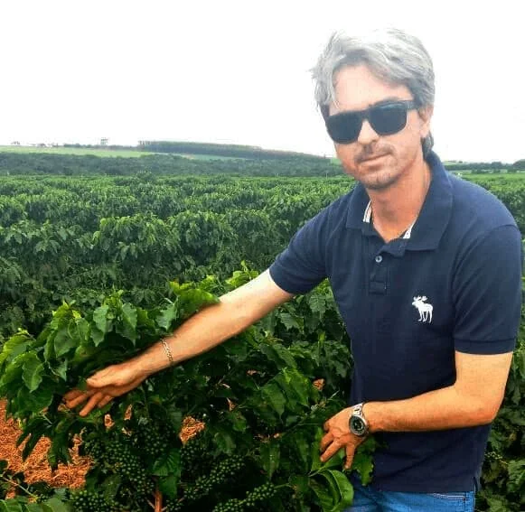 homem de meia-idade, com cabelos grisalhos e óculos de sol, em meio a uma vasta plantação de café. Ele ve