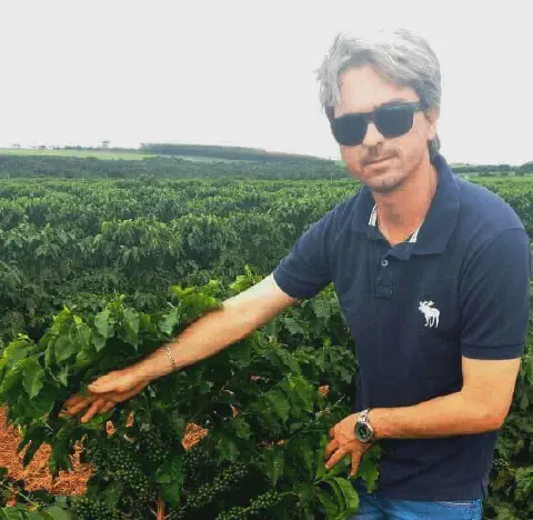 homem de meia-idade, com cabelos grisalhos e óculos de sol, em meio a uma vasta plantação de café. Ele ve
